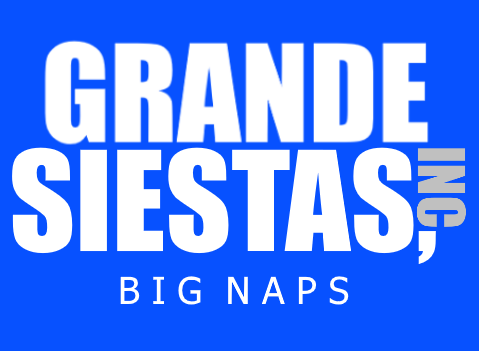 big naps logo